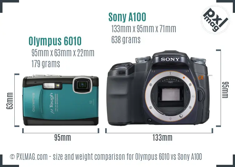 Olympus 6010 vs Sony A100 size comparison