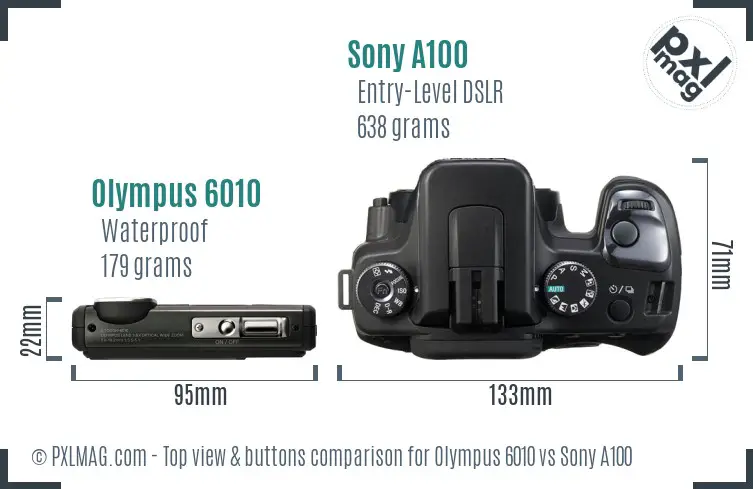 Olympus 6010 vs Sony A100 top view buttons comparison