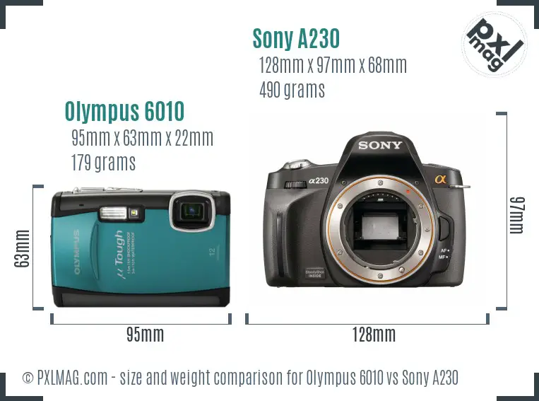 Olympus 6010 vs Sony A230 size comparison
