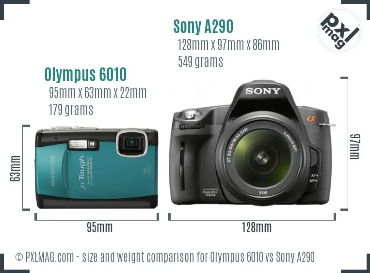 Olympus 6010 vs Sony A290 size comparison