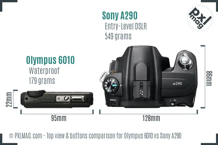 Olympus 6010 vs Sony A290 top view buttons comparison