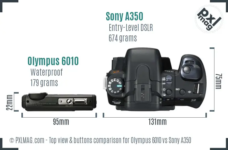 Olympus 6010 vs Sony A350 top view buttons comparison