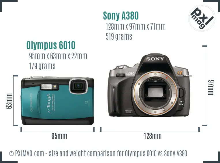 Olympus 6010 vs Sony A380 size comparison