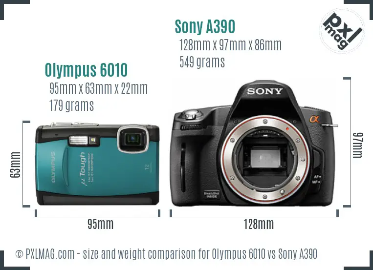 Olympus 6010 vs Sony A390 size comparison