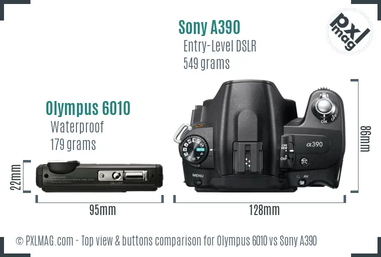Olympus 6010 vs Sony A390 top view buttons comparison