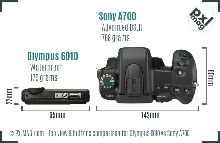 Olympus 6010 vs Sony A700 top view buttons comparison