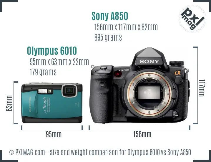 Olympus 6010 vs Sony A850 size comparison