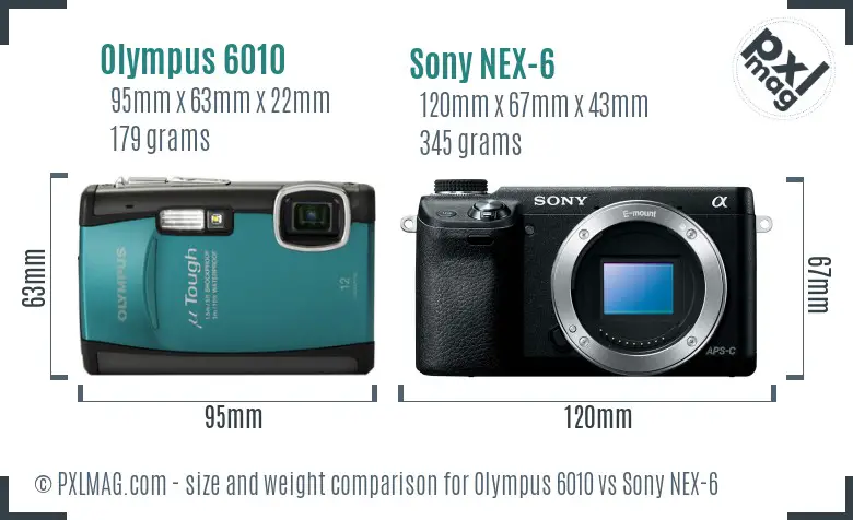 Olympus 6010 vs Sony NEX-6 size comparison