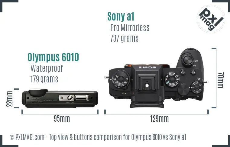Olympus 6010 vs Sony a1 top view buttons comparison