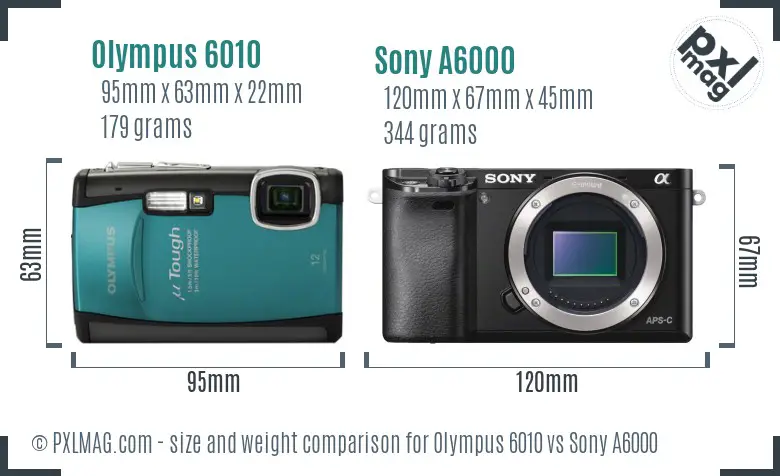 Olympus 6010 vs Sony A6000 size comparison