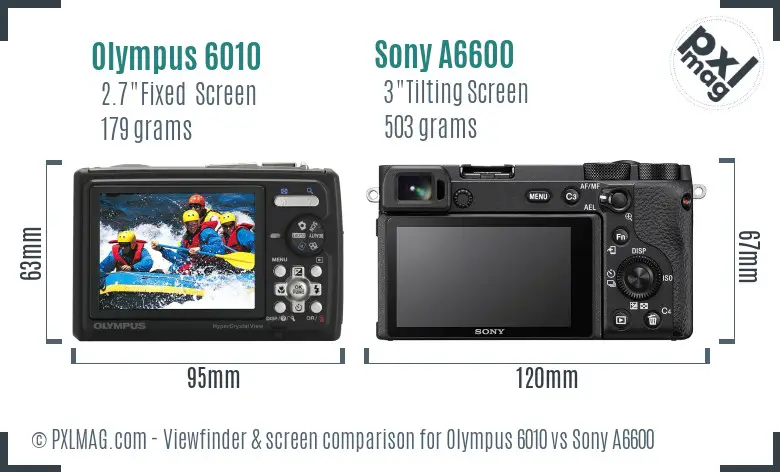 Olympus 6010 vs Sony A6600 Screen and Viewfinder comparison
