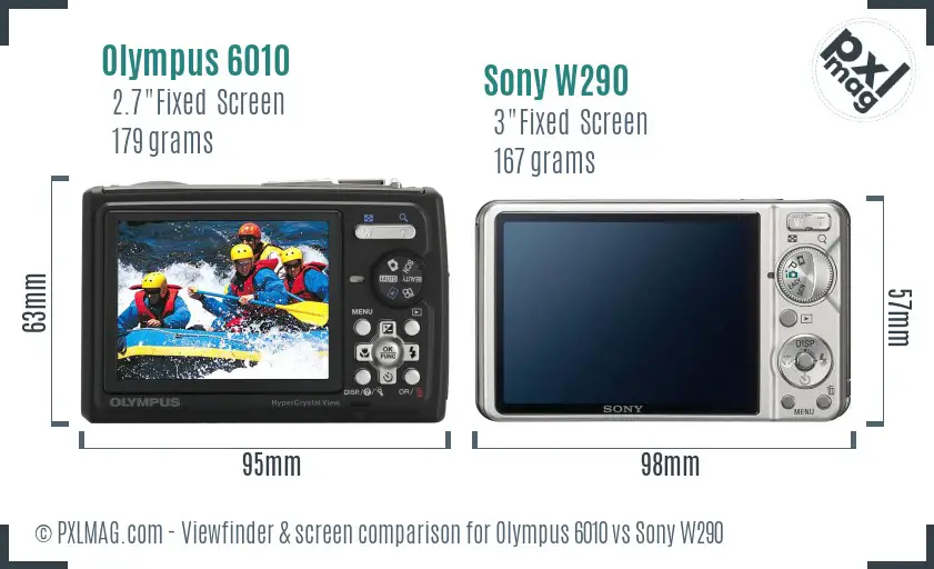 Olympus 6010 vs Sony W290 Screen and Viewfinder comparison