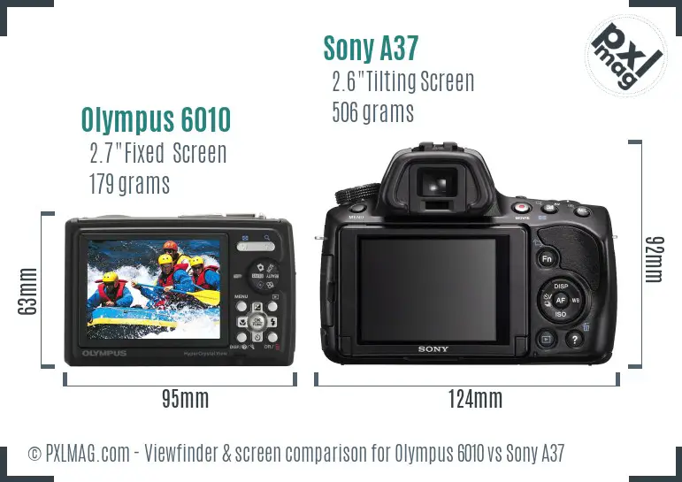 Olympus 6010 vs Sony A37 Screen and Viewfinder comparison
