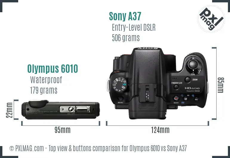Olympus 6010 vs Sony A37 top view buttons comparison