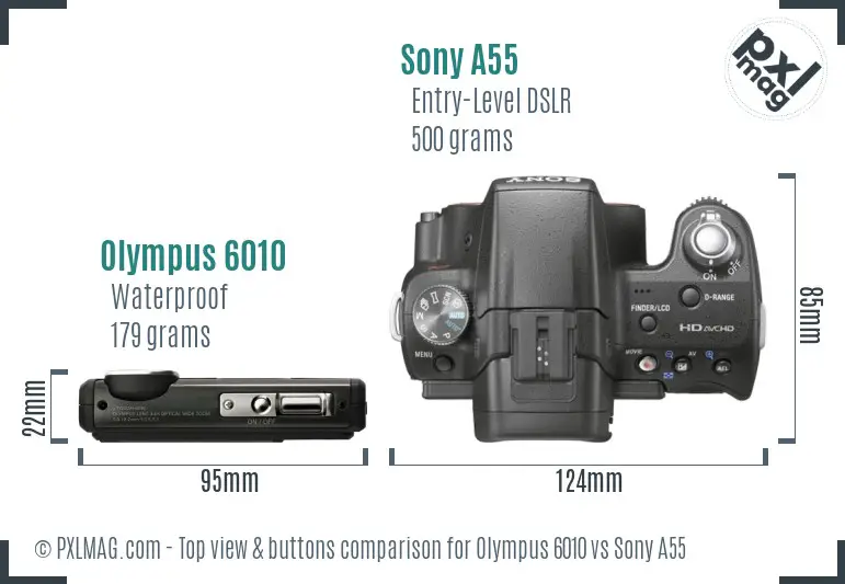 Olympus 6010 vs Sony A55 top view buttons comparison
