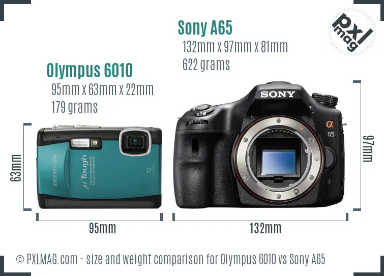 Olympus 6010 vs Sony A65 size comparison