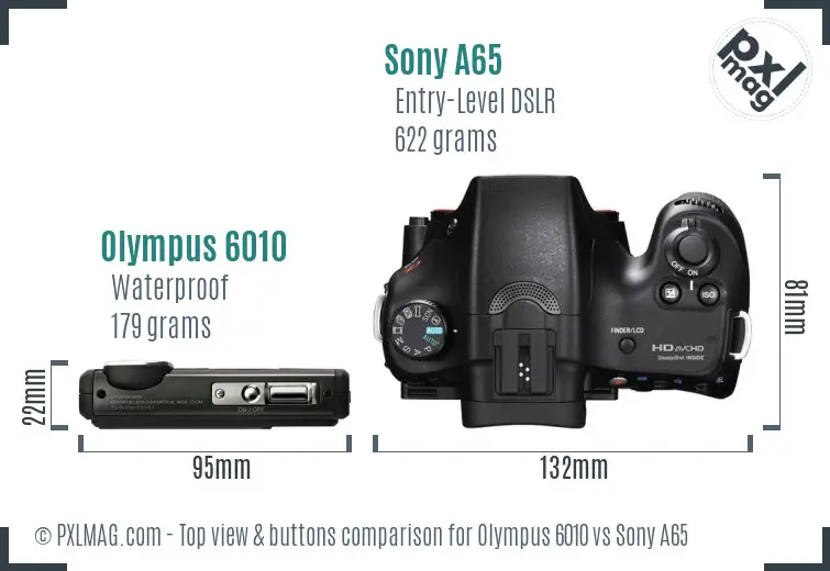 Olympus 6010 vs Sony A65 top view buttons comparison