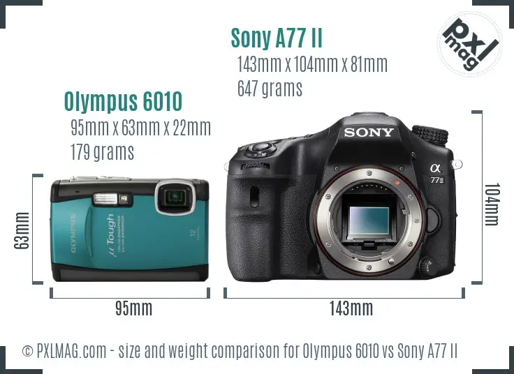 Olympus 6010 vs Sony A77 II size comparison