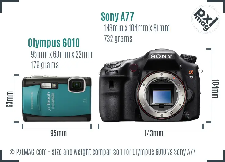 Olympus 6010 vs Sony A77 size comparison