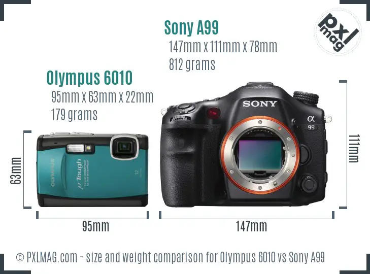 Olympus 6010 vs Sony A99 size comparison