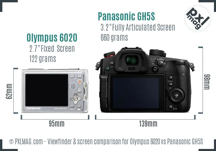 Olympus 6020 vs Panasonic GH5S Screen and Viewfinder comparison