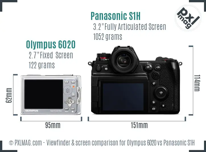Olympus 6020 vs Panasonic S1H Screen and Viewfinder comparison