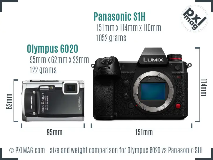 Olympus 6020 vs Panasonic S1H size comparison