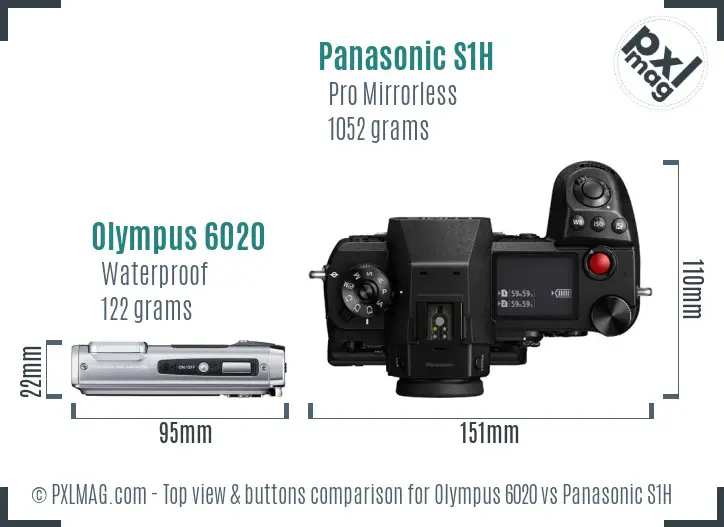 Olympus 6020 vs Panasonic S1H top view buttons comparison