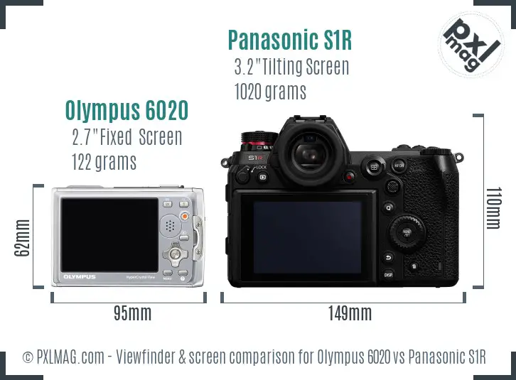 Olympus 6020 vs Panasonic S1R Screen and Viewfinder comparison
