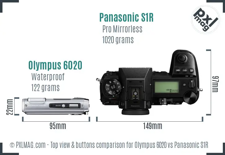 Olympus 6020 vs Panasonic S1R top view buttons comparison