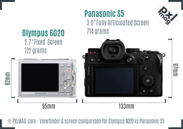 Olympus 6020 vs Panasonic S5 Screen and Viewfinder comparison