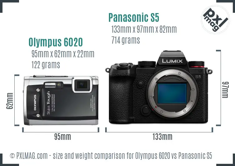 Olympus 6020 vs Panasonic S5 size comparison