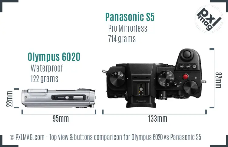 Olympus 6020 vs Panasonic S5 top view buttons comparison