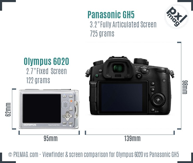 Olympus 6020 vs Panasonic GH5 Screen and Viewfinder comparison
