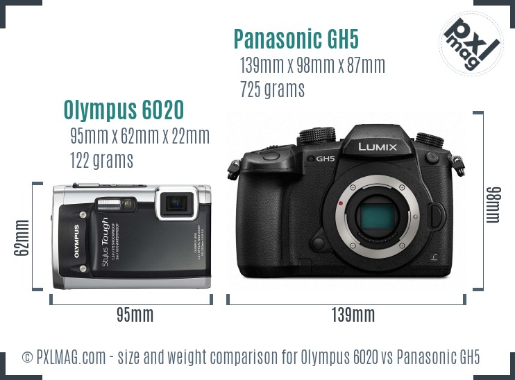 Olympus 6020 vs Panasonic GH5 size comparison