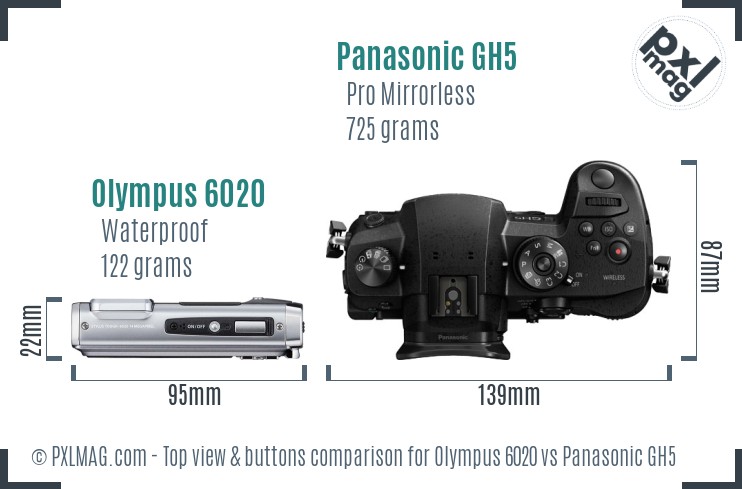 Olympus 6020 vs Panasonic GH5 top view buttons comparison