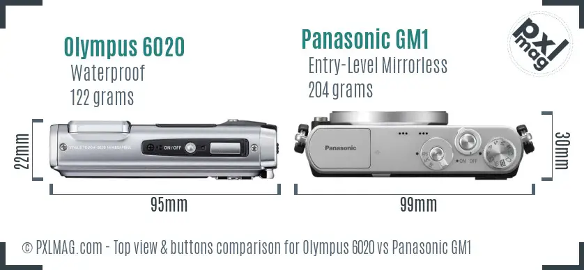 Olympus 6020 vs Panasonic GM1 top view buttons comparison