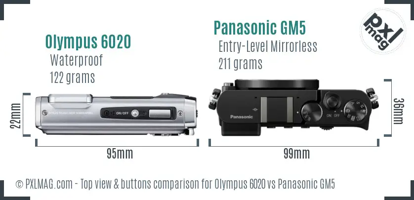 Olympus 6020 vs Panasonic GM5 top view buttons comparison