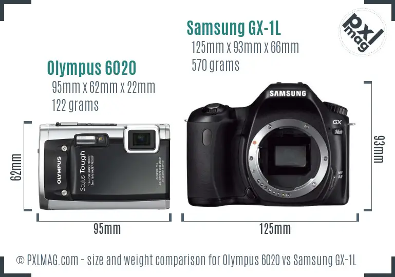 Olympus 6020 vs Samsung GX-1L size comparison