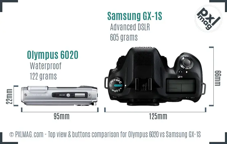 Olympus 6020 vs Samsung GX-1S top view buttons comparison