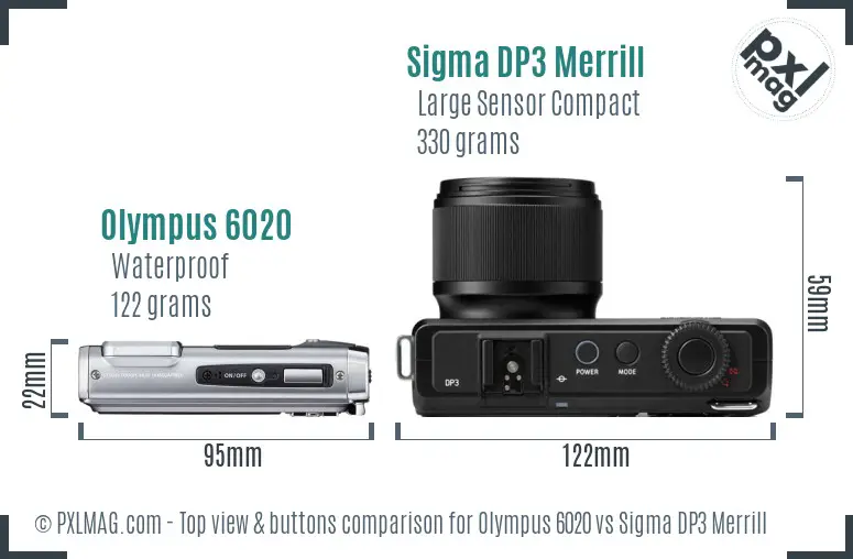 Olympus 6020 vs Sigma DP3 Merrill top view buttons comparison