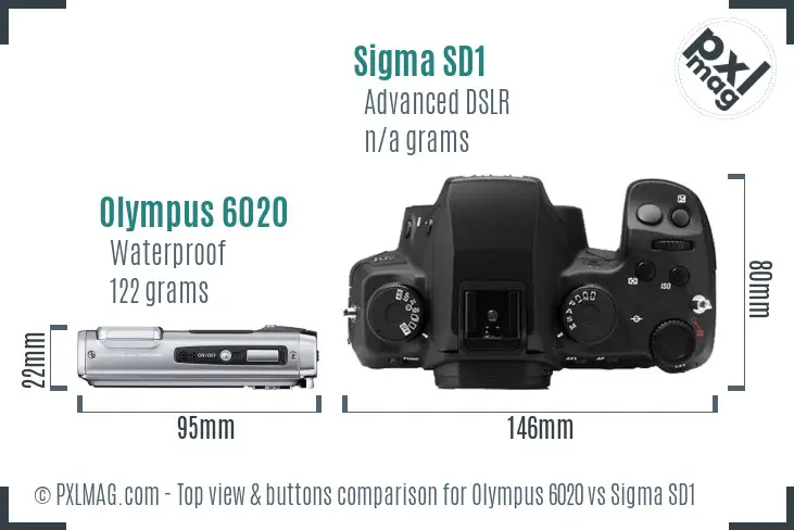 Olympus 6020 vs Sigma SD1 top view buttons comparison