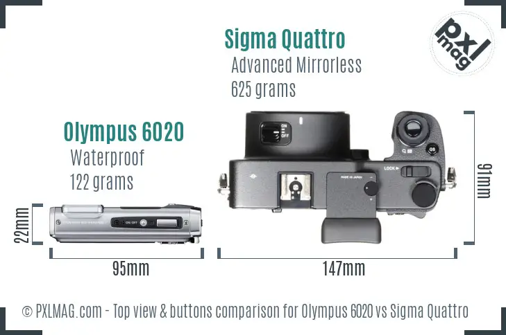 Olympus 6020 vs Sigma Quattro top view buttons comparison