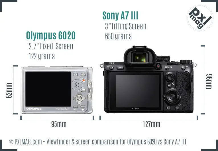 Olympus 6020 vs Sony A7 III Screen and Viewfinder comparison