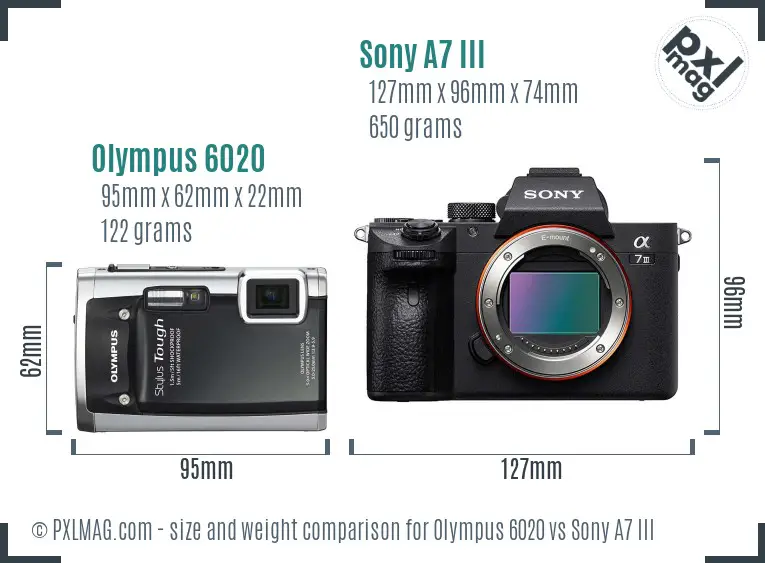 Olympus 6020 vs Sony A7 III size comparison