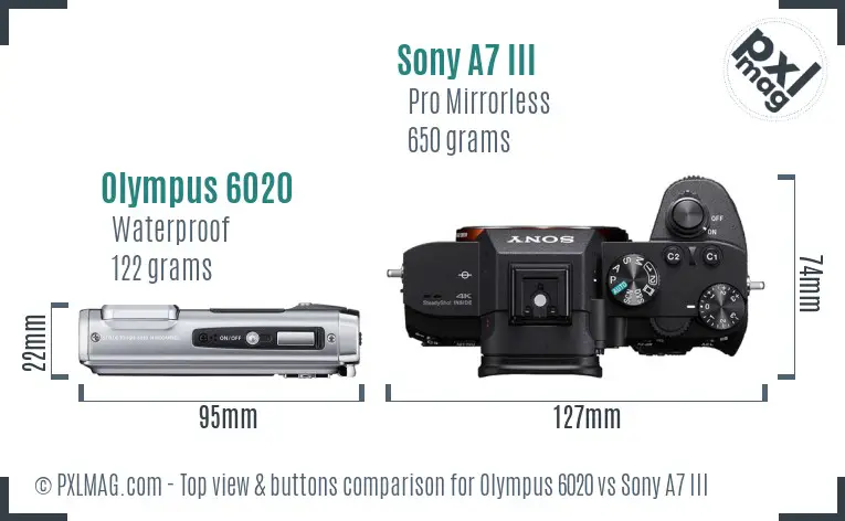Olympus 6020 vs Sony A7 III top view buttons comparison