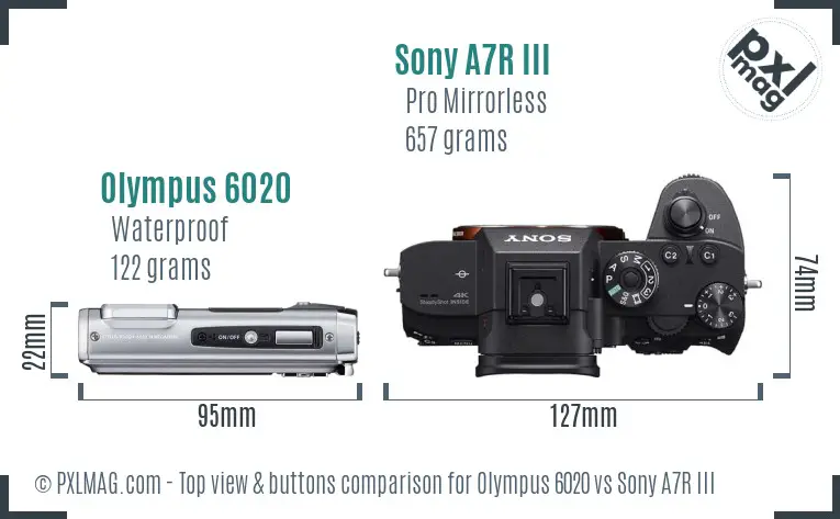 Olympus 6020 vs Sony A7R III top view buttons comparison
