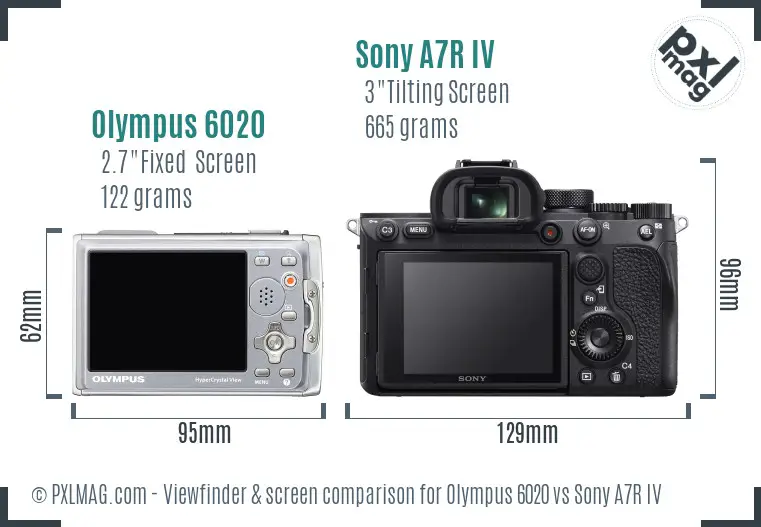 Olympus 6020 vs Sony A7R IV Screen and Viewfinder comparison