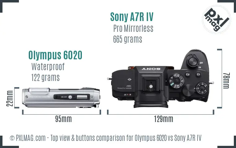 Olympus 6020 vs Sony A7R IV top view buttons comparison
