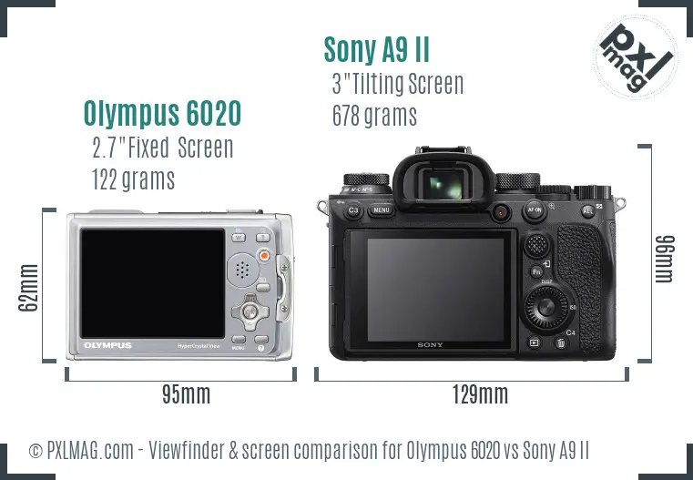 Olympus 6020 vs Sony A9 II Screen and Viewfinder comparison